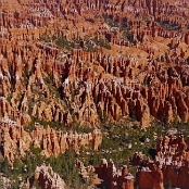 Bryce Canyon 12